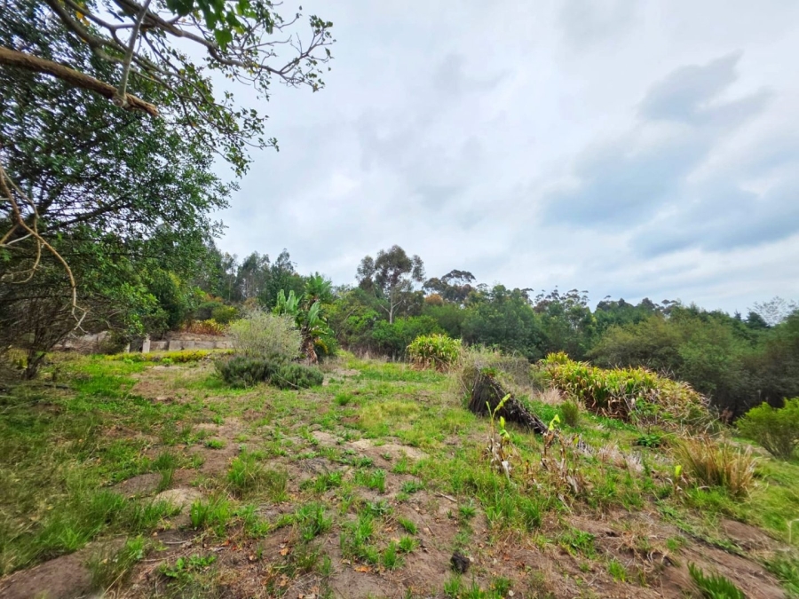 Commercial Property for Sale in Sedgefield Rural Western Cape